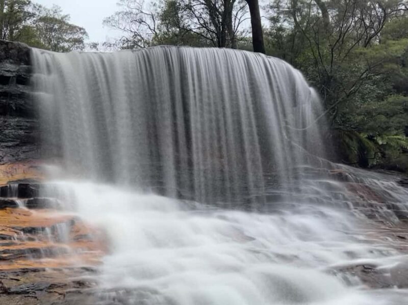 Blue Mountains day tour with Cruise, Scenic world pass & Zoo - The Scenic World Experience