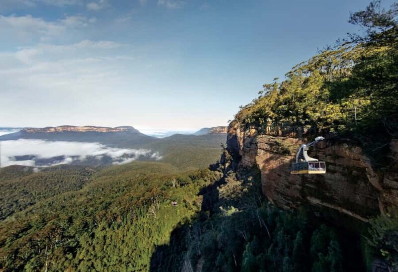Blue Mountains day tour with Cruise, Scenic world pass & Zoo - The Waterfall and Lookout Stops