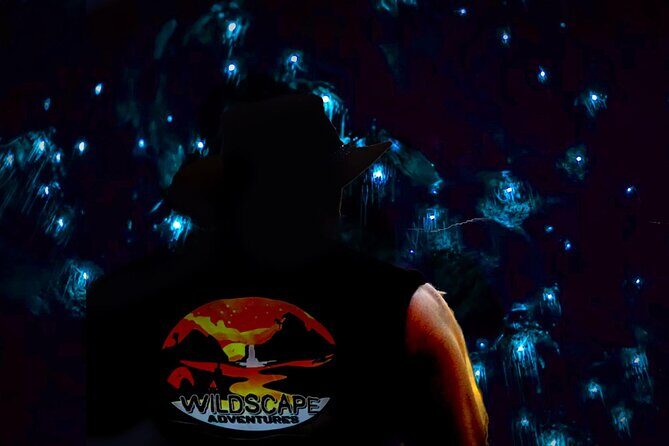 Blue Mountains Hiking Glow worms Cave Wildlife Spotlighting Night Adventure - A Deep Dive into the Night Adventure