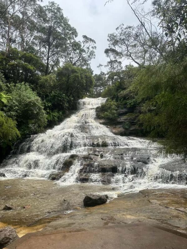 Blue Mountains: Katoomba Cascades & Falls Guided Hike - An Honest Look at the Experience