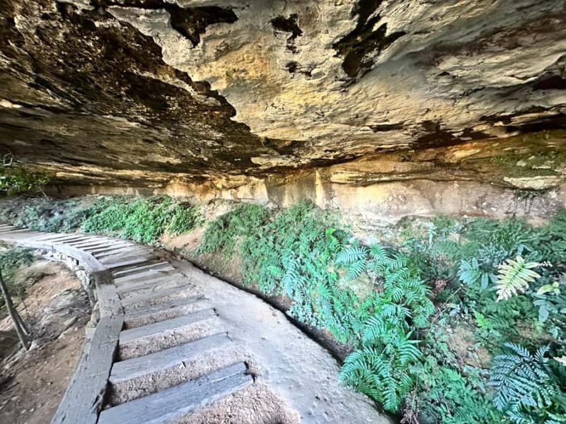 Blue Mountains: Overcliff-Undercliff Guided Hike - FAQ