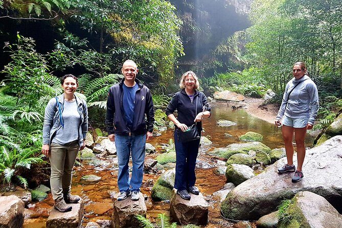 Blue Mountains Private Tour including Wildlife Park - An In-Depth Look at What the Tour Offers