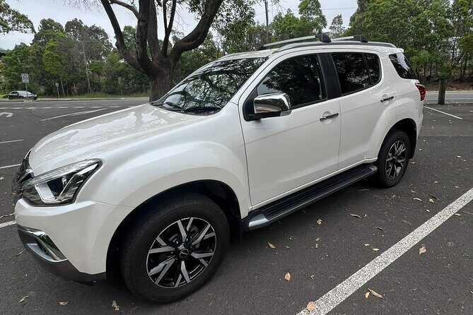 Blue Mountains Private Tour & Memorable Gems & wild marsupials - A Deep Dive into the Experience