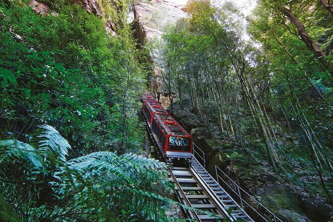 Blue Mountains Private Tour with Kangaroo and Koala Experience - Final Thoughts