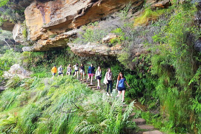 Blue Mountains Small Group Tour with Waterfall Walk & Fresh Lunch - What Sets This Tour Apart