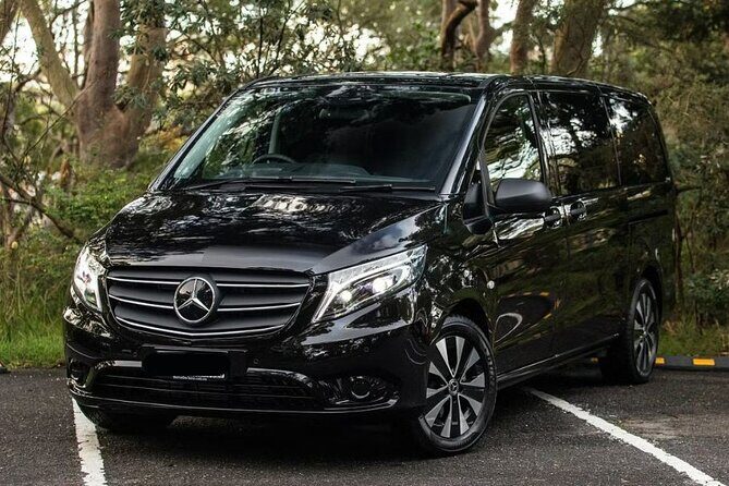 Blue Mountains Sunset Tour | See Kangaroos & Koalas (Private Tour) - An In-Depth Look at the Blue Mountains Sunset Tour