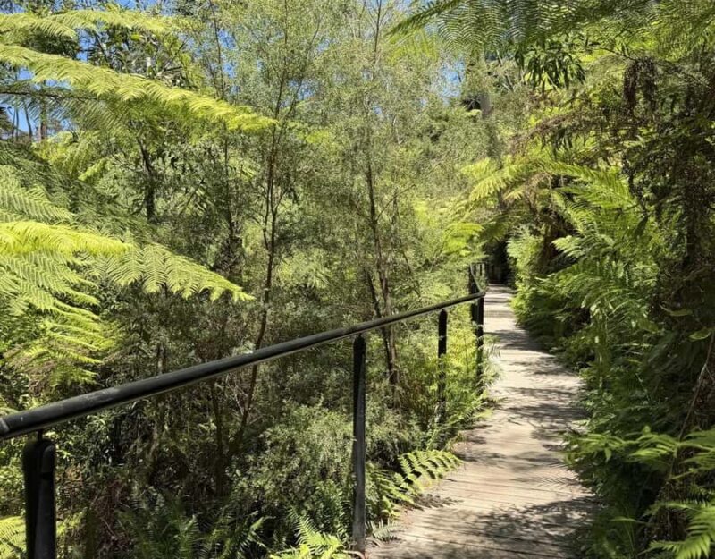 Blue Mountains Tour, Katoomba Falls & Cockatoos Small Group - An Honest Breakdown of the Itinerary
