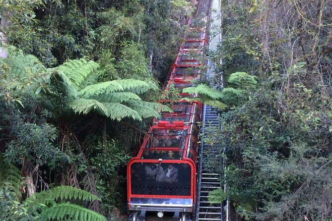 Blue Mountains Tour PRIVATE with Wildlife Park and River Cruise - Who This Tour Is Best For
