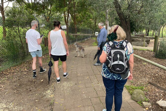 Blue Mountains Wildlife Full-Day Sights and Hiking from Sydney - Frequently Asked Questions