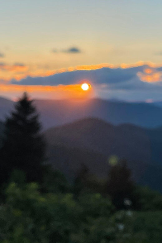 Blue Ridge hiking tour with areas #1 Guide (1/2 day) - An Overview of the Experience