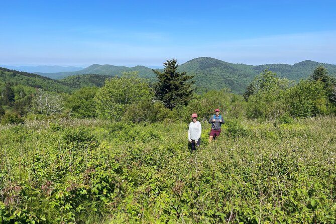 Blue Ridge Mtns Hiking Tour with the areas top rated trail expert - The Sum Up