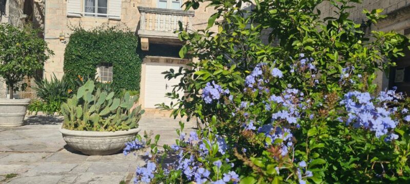 Blue Sea & Black Mountains - Montenegro - First Stop: Kotor (1.5 hours)