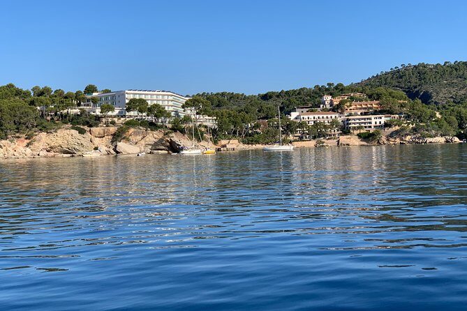 Bluemarine.me license free Bayliner Element E5 rental - Why This Boat Rental Is Worth Considering