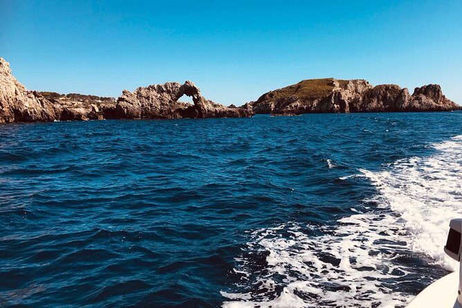 Bluemarine.me license free Bayliner Element E5 rental - FAQs