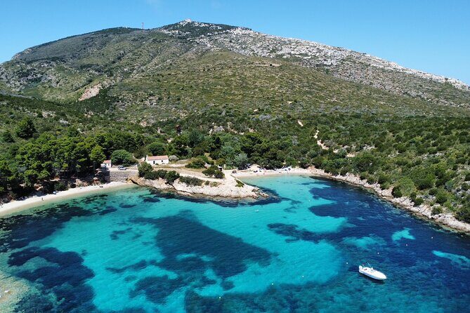 Boat Dolphins Safari and Snorkeling - Key Points