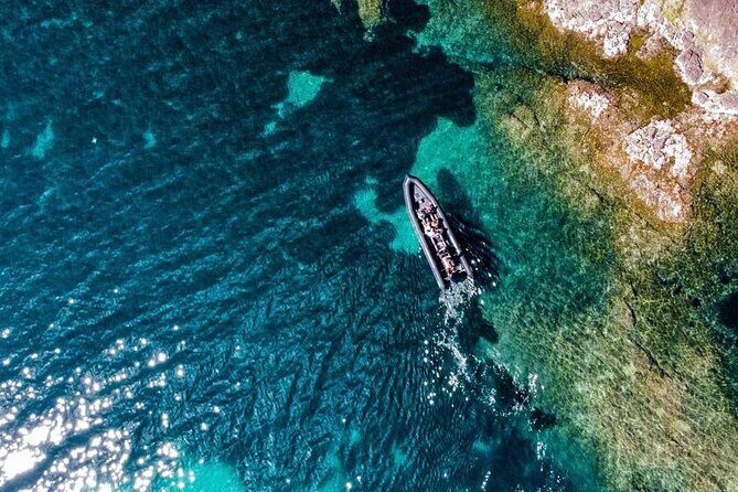 Boat excursion - Cannes Esterel Coves Insight  1H30 - Who Will Love This Tour?