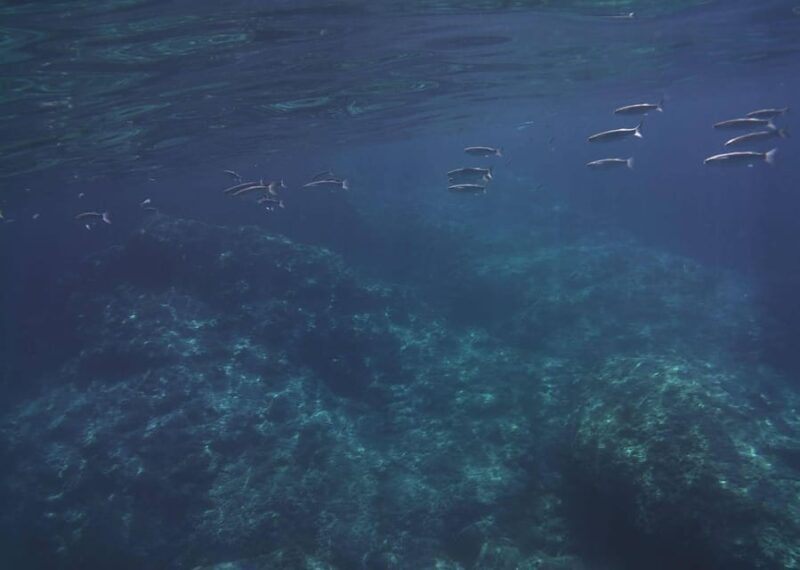 Boat excursion Giardini Naxos Taormina with swimming break - Key Points