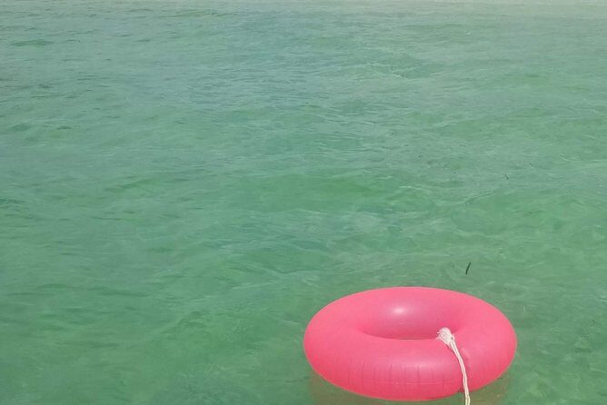 Boat Excursion in Florida Keys with Snorkeling Equipment - Who Will Love This Tour?