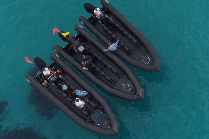 Boat Excursion - Nice/St Jean Cap Ferrat 1H30 - The Cost-Value Balance