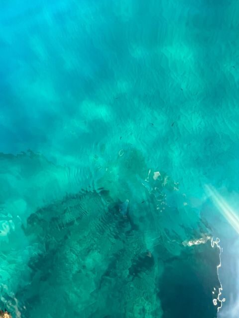 boat excursions in cefalu' - FAQs