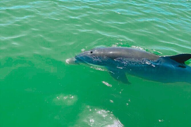 Boat Rentals to Shell Key, Treasure Island and St. Pete Beach - What to Expect from Your Boat Rental Experience