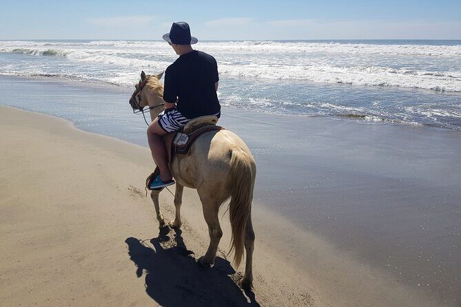 Boat Ride-Gentle Beach Beach Horseback Ride+Lunch-Crocs-Turtles - Key Points
