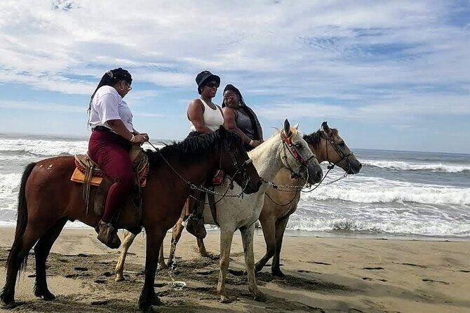 Boat Ride-Gentle Beach Beach Horseback Ride+Lunch-Crocs-Turtles - Final Thoughts