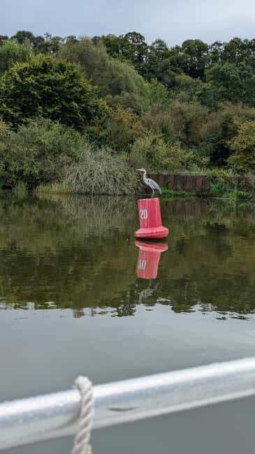 Boat ride on the Canal de la Rance - Who Is This Tour Best Suited For?