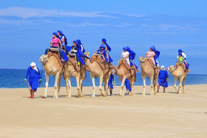 Boat Ride to the Arch and Beach Camel Ride in Cabo San Lucas Shared Tour - Who Should Consider This Tour?