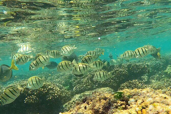 Boat ride to the Arch and Snorkel - Final Thoughts