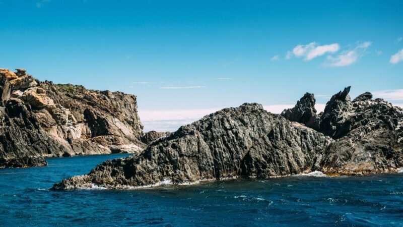 Boat through Cap de Creus and Port Lligat + Visit Cadaqués - Practical Details: What You Need to Know