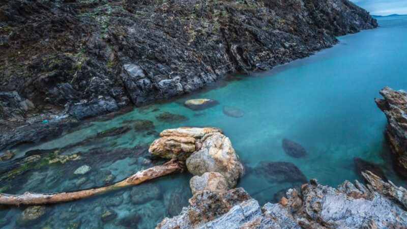 Boat through Cap de Creus and Port Lligat + Visit Cadaqués - FAQs