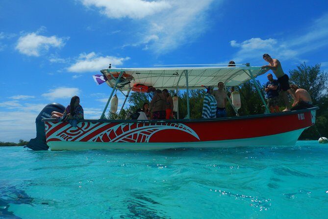 Boat tour 1/2 day Excursion in the lagoon of Moorea - What Travelers Say
