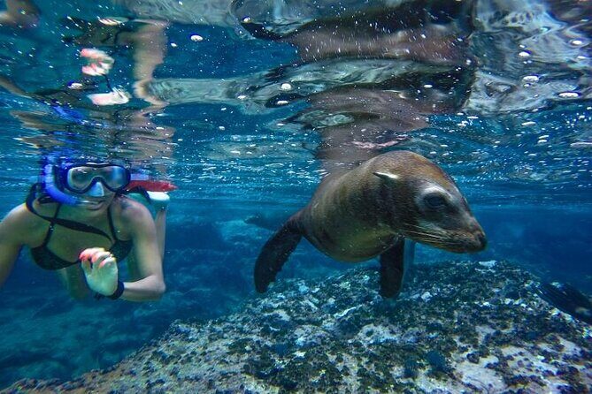 Boat Tour and Snorkel at Pelican Rock - Is It Worth the Price?