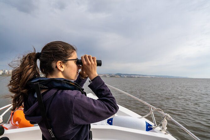 Boat Tour - Bird Observation in the Tejo Nature Reserve - Practical Considerations