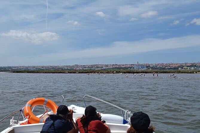 Boat Tour - Bird Observation in the Tejo Nature Reserve - The Sum Up