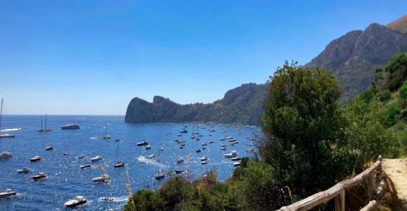 Boat Tour dinner experience in Nerano or Amalfi - The Route and Stops: What You Can Expect
