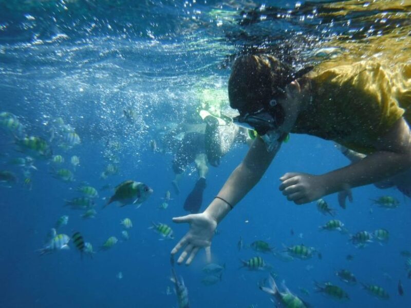 Boat tour from Avola to Portopalo with visit of Marzamemi - What to Expect on the Boat Tour from Avola