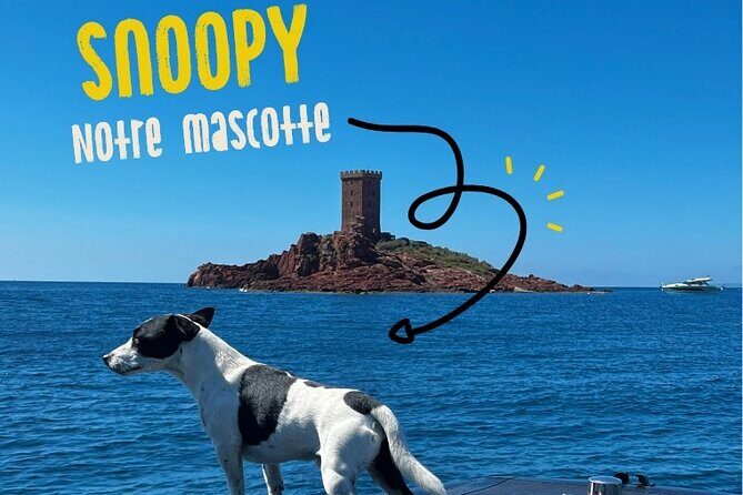 Boat tour from Fréjus - Calanques Estérel - 2h30 - Frequently Asked Questions