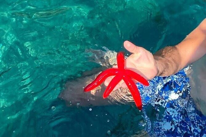 Boat tour Giardini Naxos Taormina Isola Bella Blue Grotto - Honest Limitations and Considerations