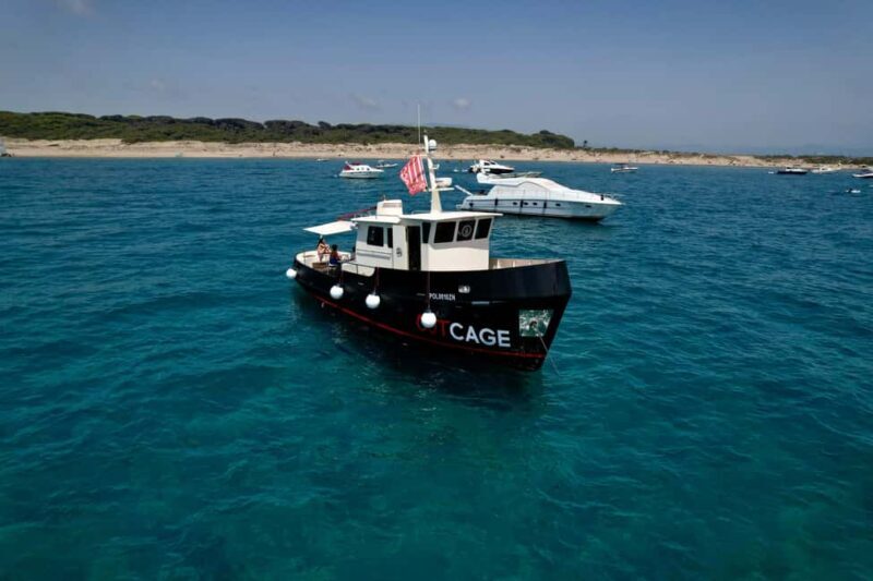 Boat tour Golfo Aranci: Tavolara and Molara Marine Protected Area - Discovering Sardinia’s Marine Marvels: A Review of the Golfo Aranci: Tavolara and Molara Marine Protected Area Boat Tour