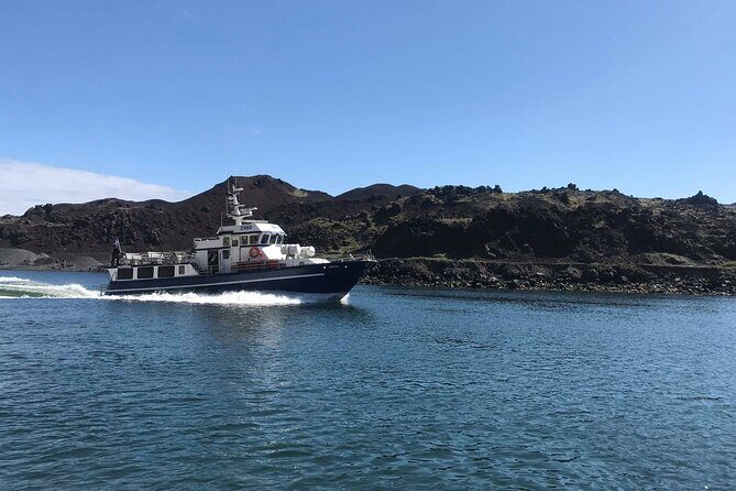 Boat Tour in Vestmannaeyjar - Final Thoughts: Who Will Appreciate This Tour?