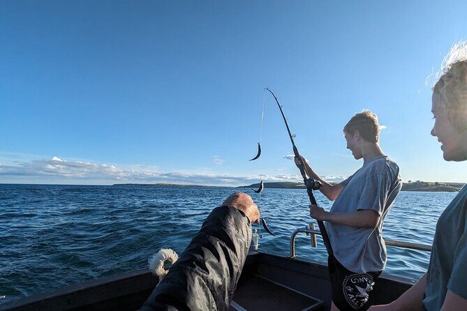 Boat Tour of Kinsale Harbour and Bandon River - Exploring the Boat Tour of Kinsale Harbour and Bandon River