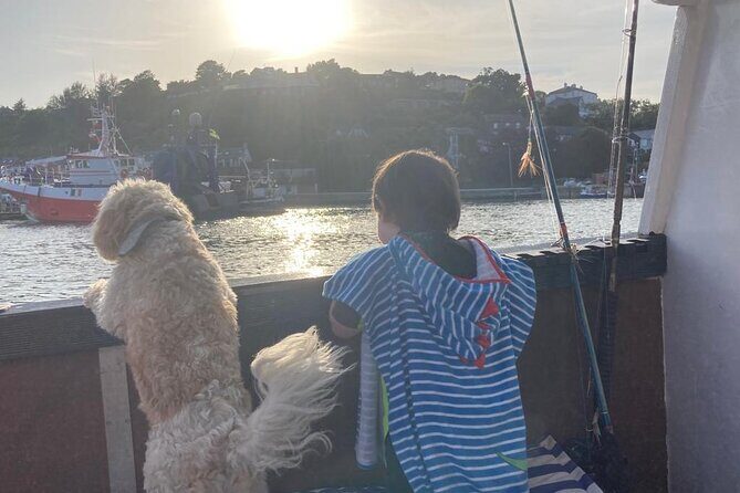 Boat Tour of Kinsale Harbour and Bandon River - Final Thoughts