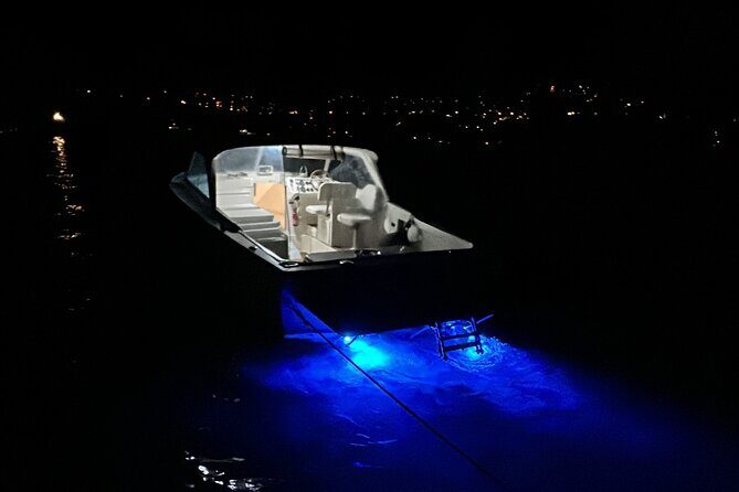 Boat tour on Lake Como 1 hour - FAQ