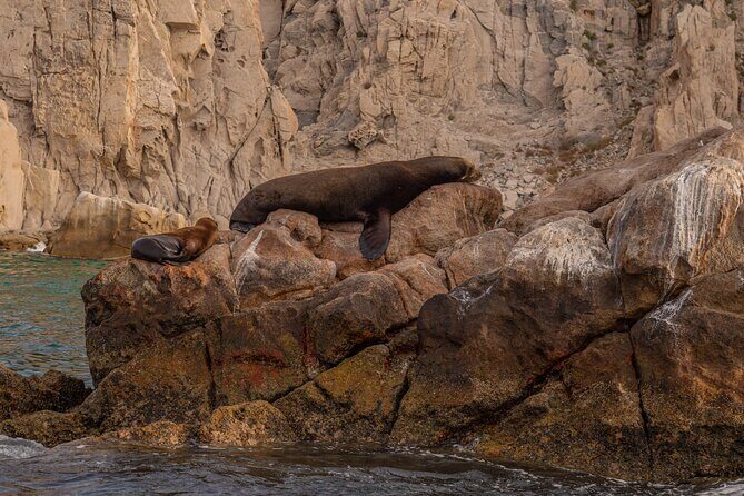 Boat Tour Snorkeling Tour with Guide, Drinks and Fruit - What to Expect from the Tour