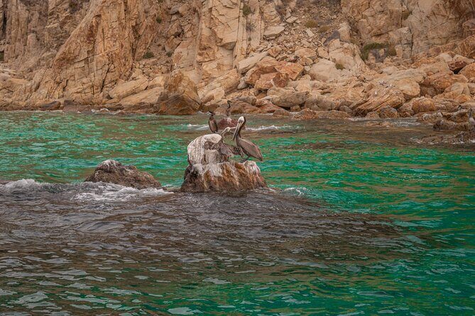 Boat Tour Snorkeling Tour with Guide, Drinks and Fruit - The Practical Side: Price, Duration, and Group Size