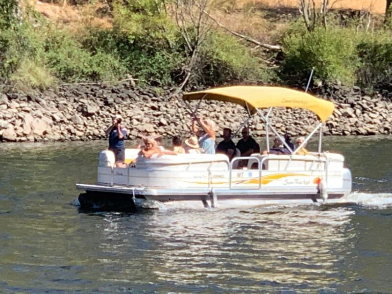 Boat Tour SUNTRACKER - The Experience and Its Review Highlights