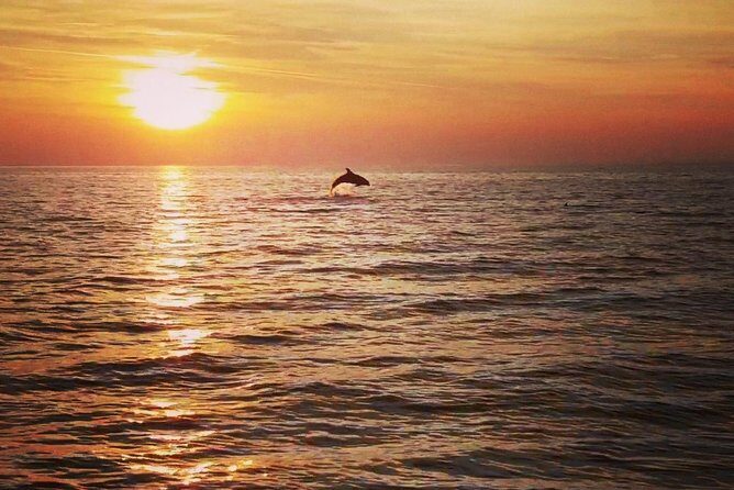 Boat tour swimming snorkeling south Istria Kamenjak Premantura - The Sum Up