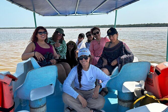 Boat tour through the mangroves of Celestún and Playa from Merida - An In-Depth Look at the Tour Experience